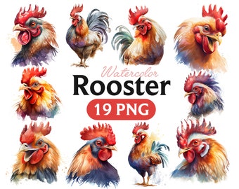 Gallo en acuarela: Imágenes PNG de animales de granja (descarga digital)