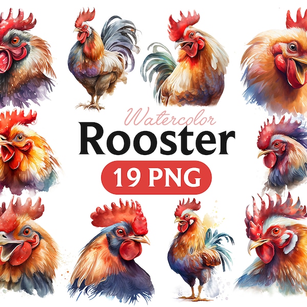 Rooster Watercolor Clipart, Rooster PNG, Chicken Bird Shower Graphics, Nursery Decor Wall Art, Farm Animal PNG