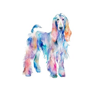 Afghan Hound Watercolor Clipart, Afghan Hound Watercolor Png, Cute Afghan Hound Nursery Decor Wall Art, Little Pet Dog Animal PNG image 5