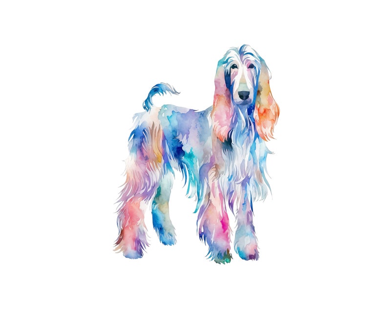 Afghan Hound Watercolor Clipart, Afghan Hound Watercolor Png, Cute Afghan Hound Nursery Decor Wall Art, Little Pet Dog Animal PNG image 5