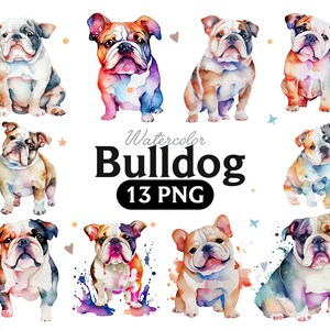 Bulldogge Aquarell Clipart, Bulldogge PNG, niedlicher Hund Kinderzimmer Dekor Wandkunst, kleines Haustier Frenchies Tier