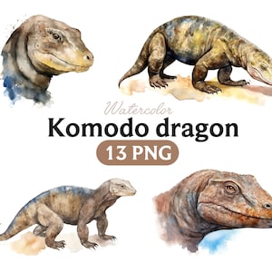 Komodo Dragon Watercolor Clipart: 13 PNG Images (Digital Download)