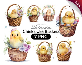 Watercolor Chicks in Baskets Clipart, Easter PNG (7 Files)