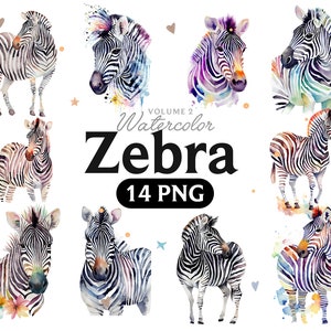 Rainbow Zebra Clip Art, Colorful Zebra Watercolor JPG, African