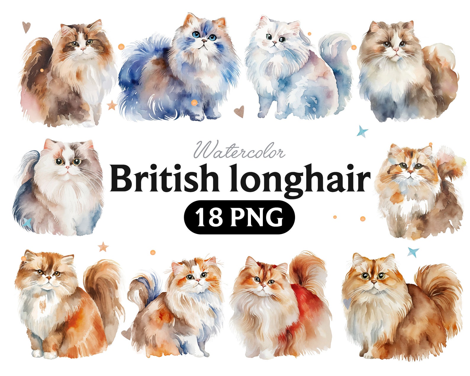 British Longhair Watercolor Clipart: 18 Cat Animal Pngs (digital ...