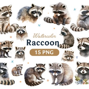 Aquarelle raton laveur, raton laveur clipart, animal raton laveur, raton laveur clipart, raton laveur art, arc, numérique, animal