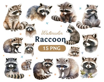 Watercolor Raccoon, Raccoon clipart, Raccoon animal, Raccoon clipart, Raccoon art, Bow, digital, animal