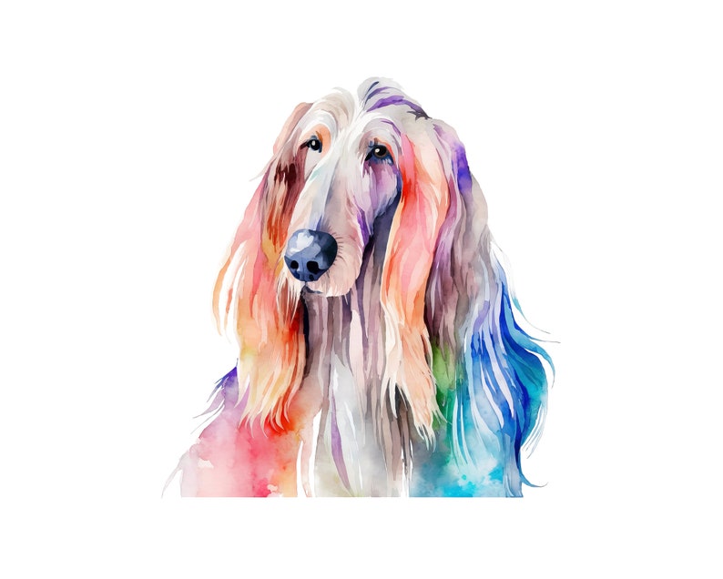 Afghan Hound Watercolor Clipart, Afghan Hound Watercolor Png, Cute Afghan Hound Nursery Decor Wall Art, Little Pet Dog Animal PNG image 8