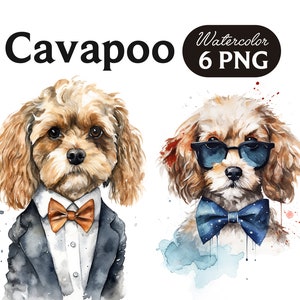 Cavapoo Clipart, niedlicher Hund Clipart, Hund PNG, Aquarell Cavapoo PNG, Hundeportrait, cooler Hund