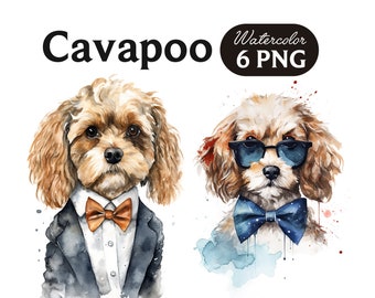 Cavapoo Clipart, Cute Dog Clipart, Dog PNG, Watercolor Cavapoo PNG, Dog Portrait, Cool Dog