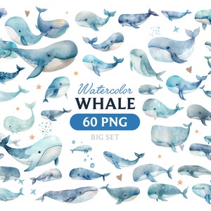 Aquarell Wal, Wal Clipart, Wal PNG, Wal Clipart, Wal Kunst, Wal, digital