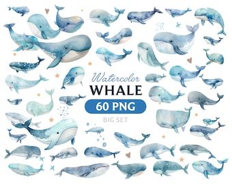 Watercolor whale, Whale clipart, whale PNG, whale clipart, whale art, whale, digital