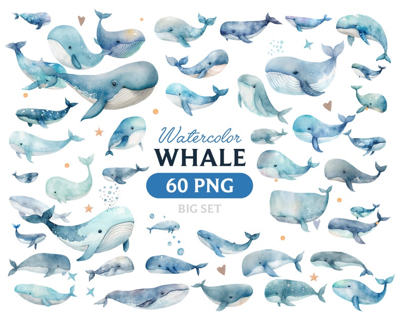 Pode incluir: Um conjunto de 60 ilustra&ccedil;&otilde;es de baleias de aquarela em v&aacute;rias poses e tamanhos. As baleias s&atilde;o azuis e cinzas com detalhes brancos e est&atilde;o sobre um fundo branco. O texto "Watercolor Whale 60 PNG Big Set" est&aacute; inclu&iacute;do na imagem.