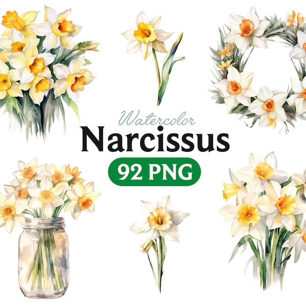 Narcissus PNG Watercolor Spring Flower