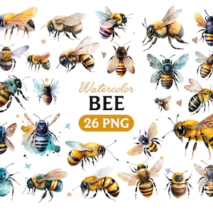 Watercolor Bee, Bee clipart, Bee PNG, Bee art, Bee, digital Bee, Animal.