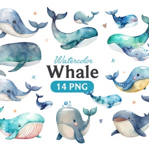 Aquarel walvis, walvis clipart, walvis PNG, walvis clipart, walvis kunst, walvis, digitaal
