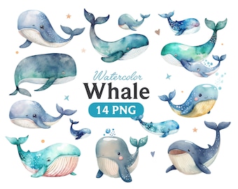 Watercolor Whale Clipart: 14 PNG Art Images (Digital Download)