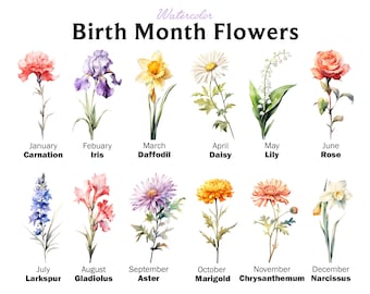 Birth Month Flowers Clipart Bundle Commercial Use Watercolor Birth Flower Digital Design Bundle PNG Files Downloadable Clipart Watercolor
