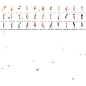 May include: A collection of watercolor illustrations of feathers in various colors and patterns. The illustrations are arranged in a grid pattern on a white background. Some of the illustrations include small decorative elements such as stars and hearts.