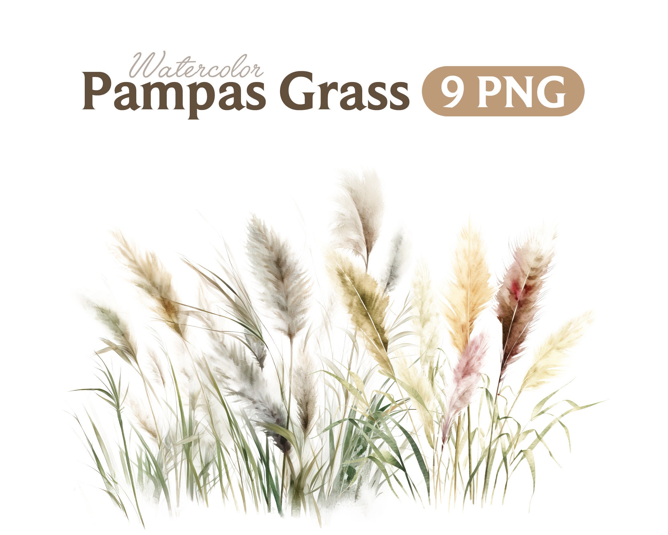Pampas Grass Watercolor Pampas Grass PNG Pampas Grass Etsy Canada