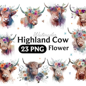 Highland Kuh PNG, Kuh Aquarell Clipart, Highland Kuh Blume, Bauernhof Tier PNG