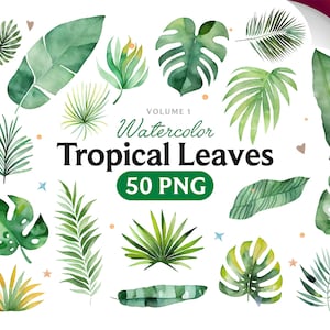 Imágenes prediseñadas de hojas tropicales de acuarela, imágenes prediseñadas de hojas de Monstera, verdes tropicales, imágenes prediseñadas de verano, descarga instantánea, PNG.