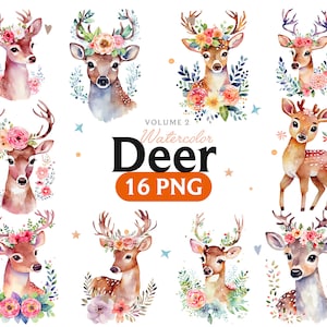 Watercolor Deer, Deer Clipart, Floral Deer Clipart Bundle, Deer Antlers png, Floral Antlers