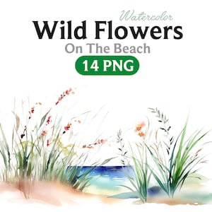 Flores silvestres na praia, flores silvestres, flor aquarela, flor silvestre PNG, flor aquarela PNG, flor PNG, clipart de flor silvestre