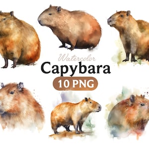 Watercolor Capybara, Capybara PNG, Capybara clipart