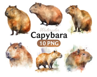 Watercolor Capybara Clipart: 10 PNG Images (Digital Download)
