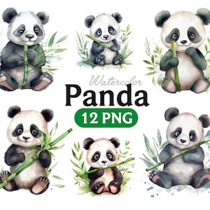 Clipart Panda, Panda Png, Panda acquerello, Panda PNG, Clipart Panda, Arte Panda, Panda
