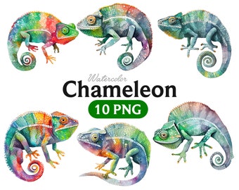 Chameleon watercolor, Chameleon clipart, Chameleon PNG, Lizard PNG, Reptile clipart, Cute animal