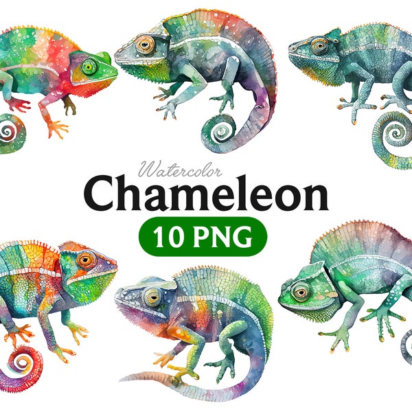 Chameleon watercolor, Chameleon clipart, Chameleon PNG, Lizard PNG, Reptile clipart, Cute animal