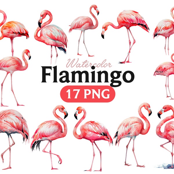 Watercolor Flamingo Clipart, Pink Flamingo, Tropical Clipart, Nursery Decor, PNG, Summer clipart, Exotic Clipart, Tropical Floral
