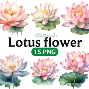 Fiore di loto dell'acquerello, ninfea, clipart digitale PNG