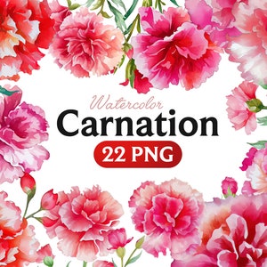 Carnation Watercolor clipart, Carnation PNG, Dusty pink carnation, Watercolor boho