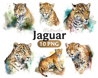 Jaguar Watercolor Clipart: Safari Animal PNG (Digital Download)