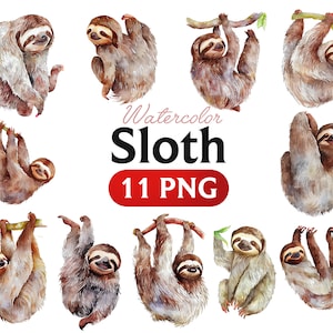 Adorable Watercolor Sloth Clipart Bundle, Instant Download, Cute and Funny PNG Images, digital clipart watercolor
