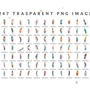 May include: 247 watercolor feather illustrations in PNG format. The feathers are in various colors, including blue, green, yellow, orange, red, and purple. The feathers are arranged in rows and columns.