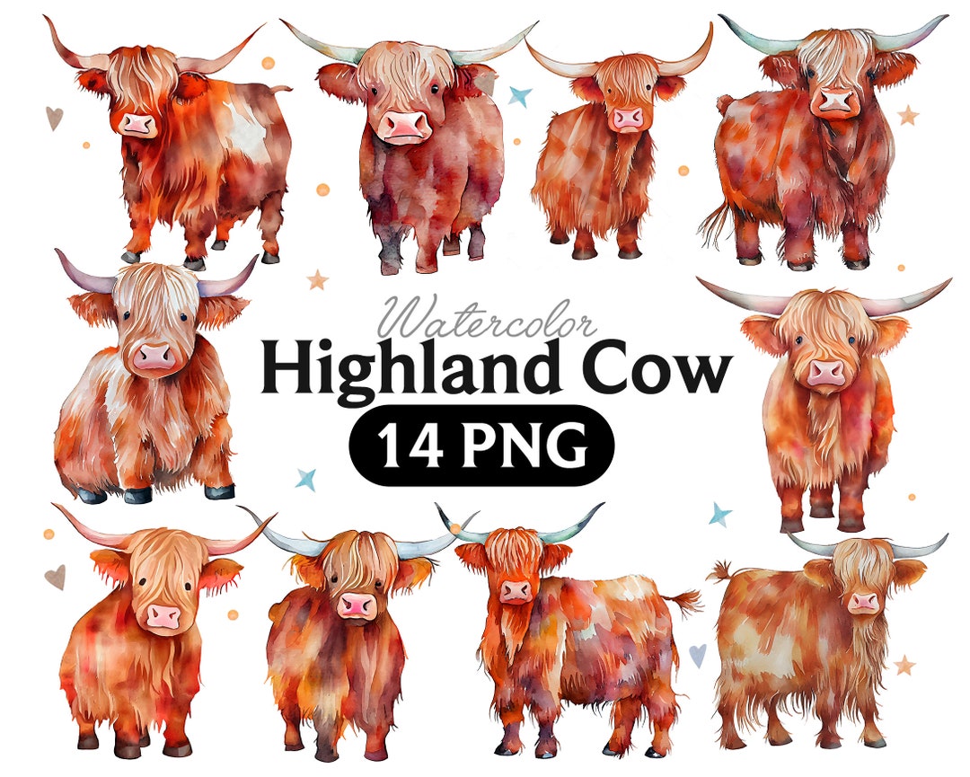 Highland Cow Watercolor Clipart: Scotland Farm Animal PNG (digital ...