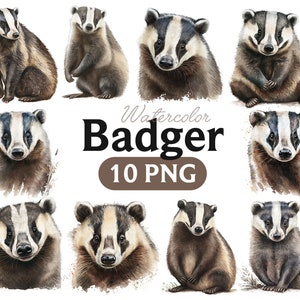Badger Watercolor, Badger PNG, Badger clipart, transparent background watercolor badger, badger