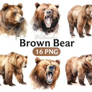 Pacote de clipart PNG de urso marrom aquarela, arte de parede de berçário, arte de parede digital