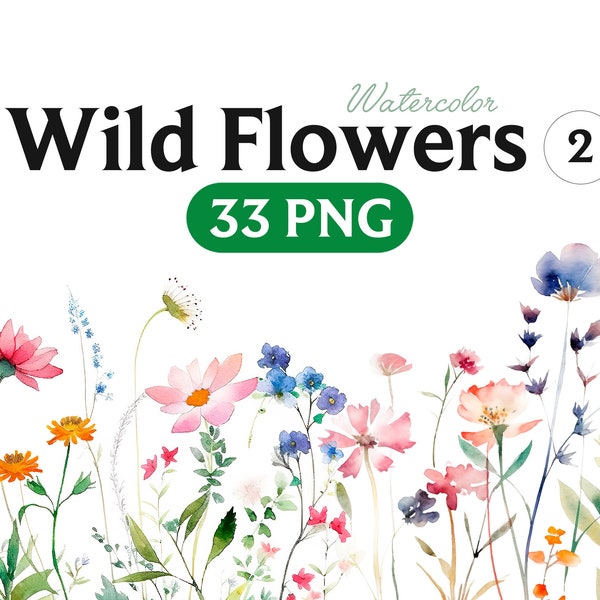 Wild Floral Clipart, Watercolor Wild Flowers, Floral Clipart, Premade Clipart, Wedding Clipart, Spring Clipart, Wild Flowers, Flowers, 2