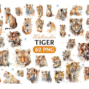 Tijger Png, aquarel Tijger, Tijger clipart, Tijger PNG, Tijger clipart, Tijger kunst, Tijger, digitaal, dier