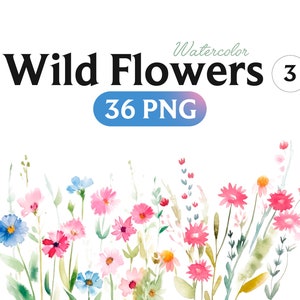 Wild Floral Clipart, Watercolor Wild Flowers, Floral Clipart, Premade Clipart, Wedding Clipart, Spring Clipart, Wild Flowers, Flowers, 3