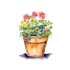 May include: A terracotta pot filled with a variety of green plants and pink flowers. The pot is sitting on a white background.