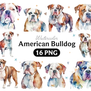 American Bulldog Watercolor Clipart, Bulldog Watercolor Png, Cute Bulldog Nursery Decor Wall Art, Little Pet Dog Animal PNG