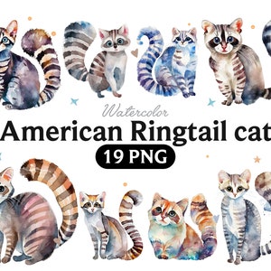 American Ringtail cat Watercolor Clipart, American Ringtail Png, Cute American Ringtail Nursery Decor Wall Art, Little Pet Cat Animal PNG