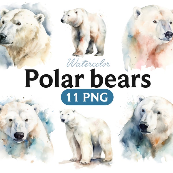 Polar bears watercolor, Polar bears PNG, Polar bears clipart, White bear, Animal