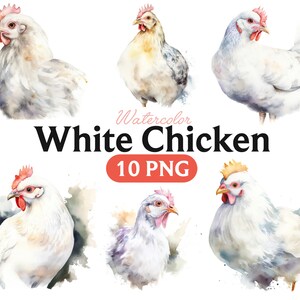 Poulet blanc aquarelle, poulet blanc PNG, poulet blanc Clipart
